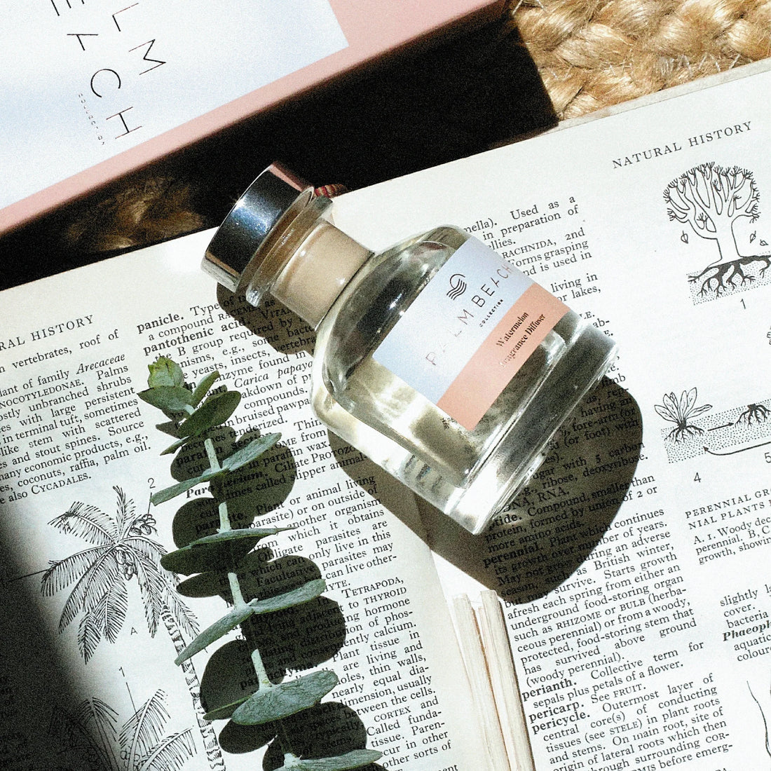 Palm Beach Watermelon Fragrance Mini Diffuser