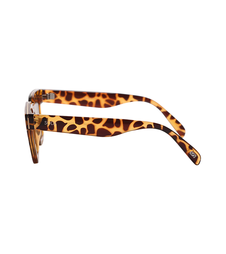 Soda Shades Brooklyn Tort w/Brown Lenses