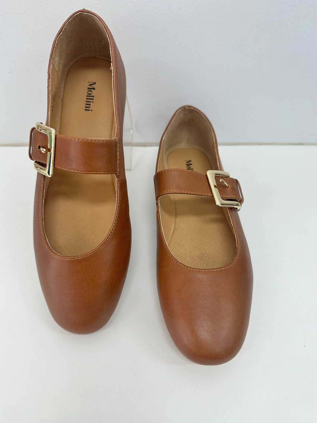 Mollini Ranilla Dark Rum