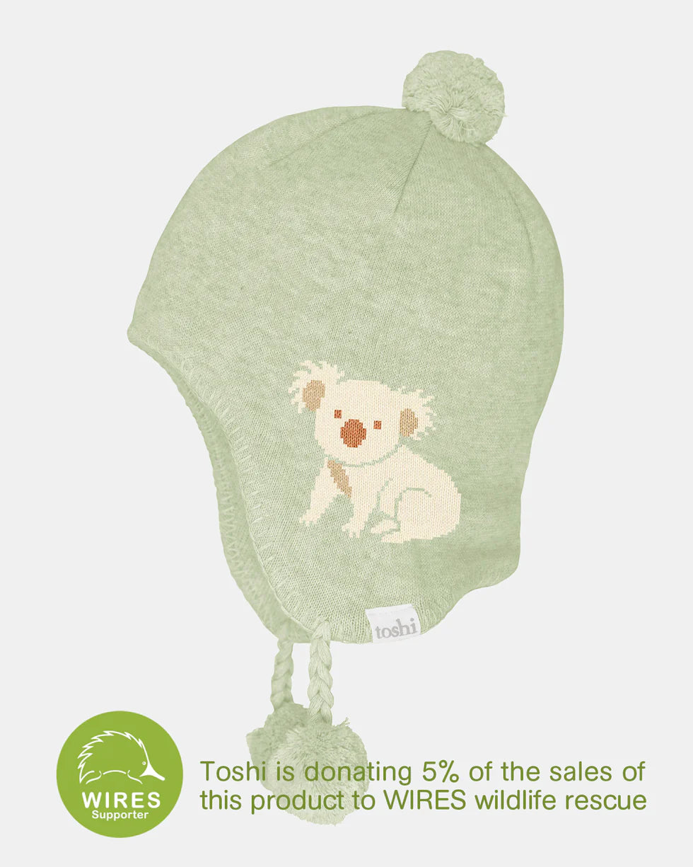 Toshi Organic Earmuff Storytime/Koala