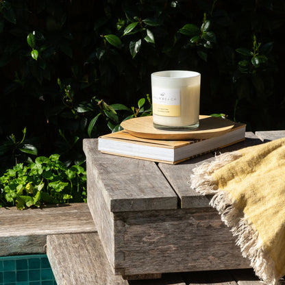 Palm Beach Coconut &amp; Lime Scented Candle 420 gms
