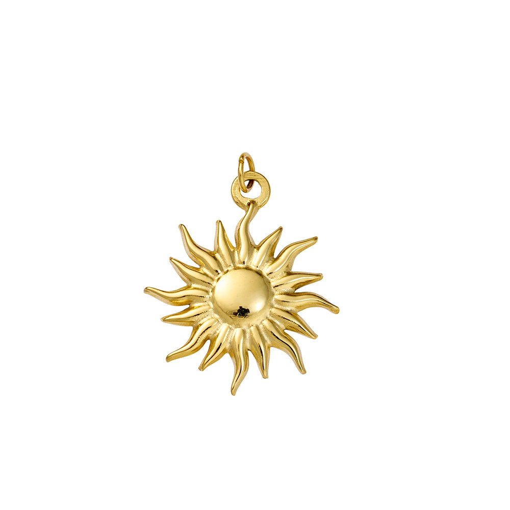 Seren stainless steel gold plated charm 6