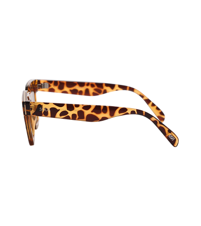 Soda Shades Brooklyn Tort w/Brown Lenses