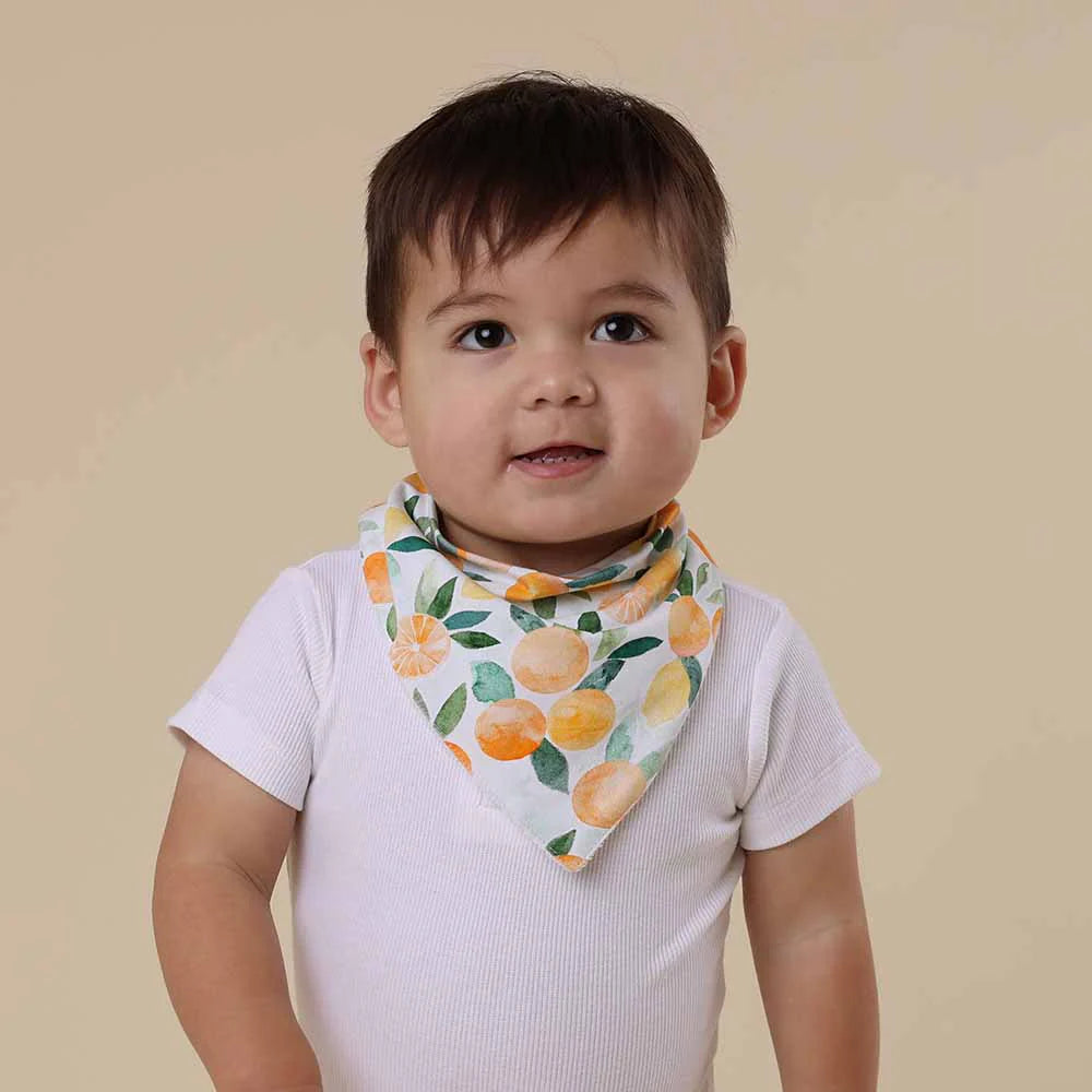 Snuggle Hunny Citrus Squeeze Organic Dribble Bib