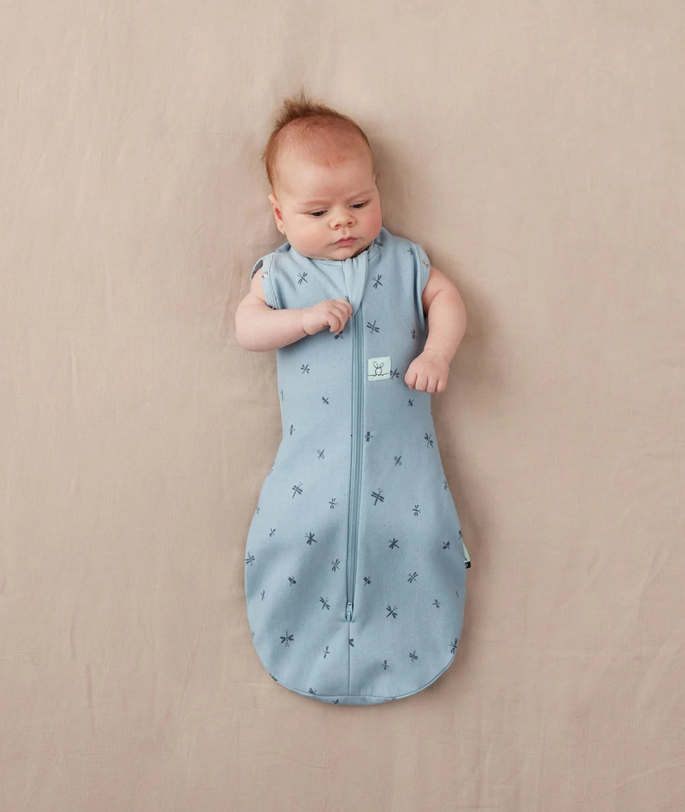 ErgoPouch Cocoon Swaddle Bag Dragonflies TOG 2.5