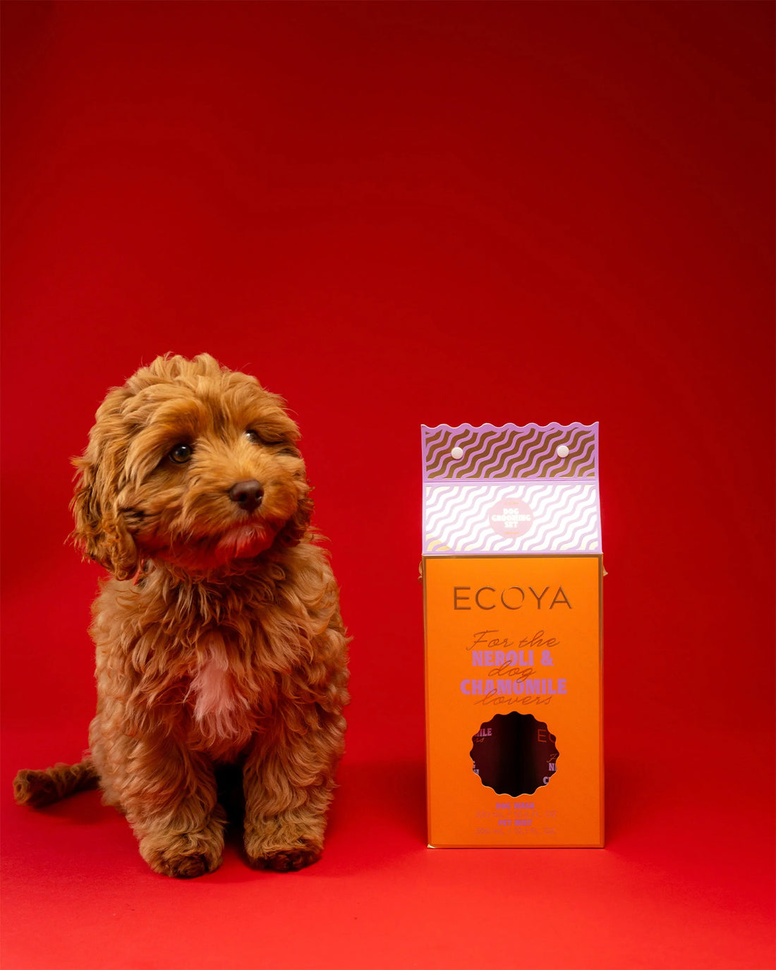 Ecoya Neroli &amp; Chamomile Dog Grooming Set Holiday Collection