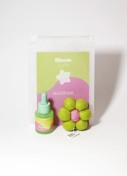 Bloom  Wild Frangipani &amp; Rose Air Freshener