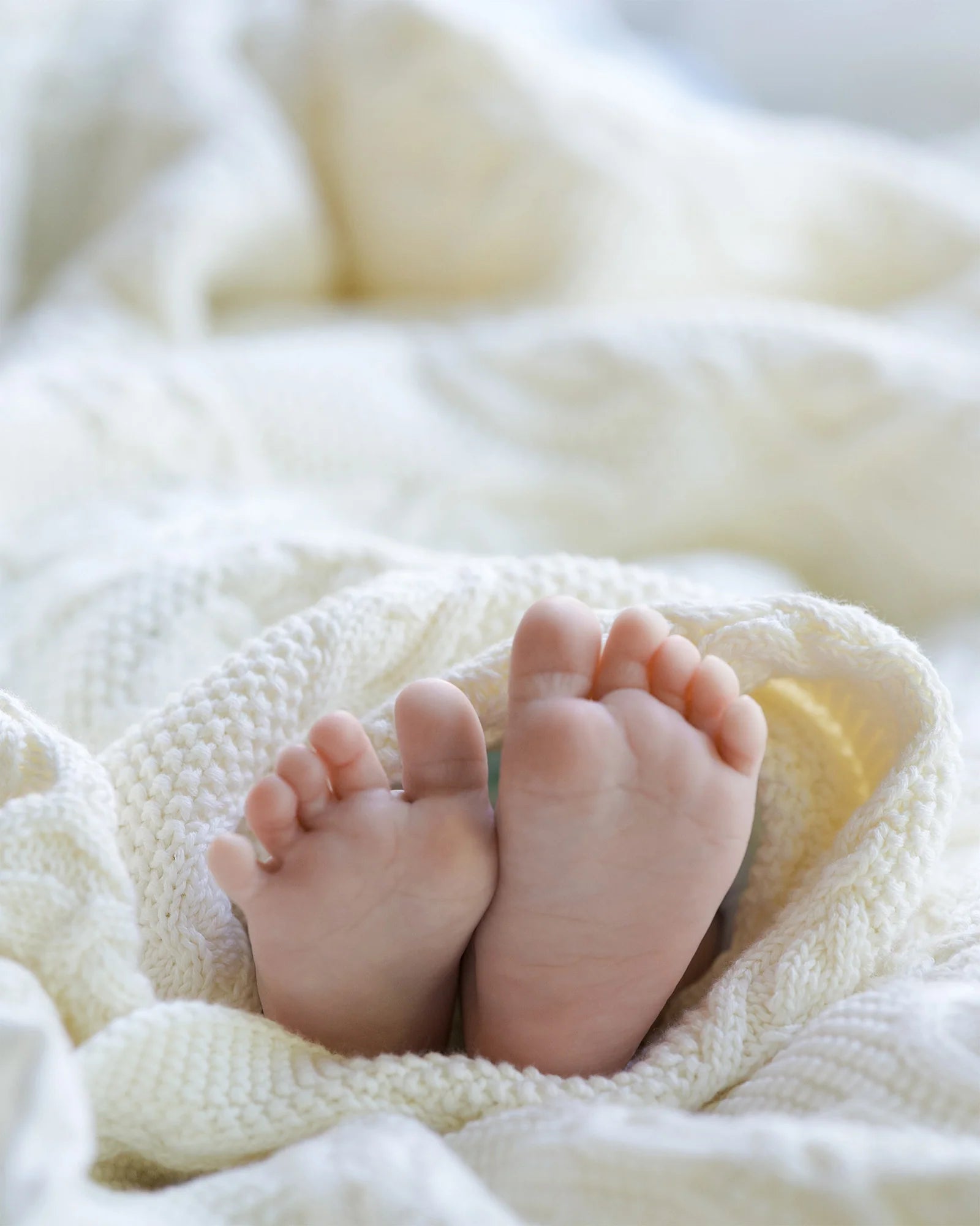 Toshi Organic Blanket Bowie Cream