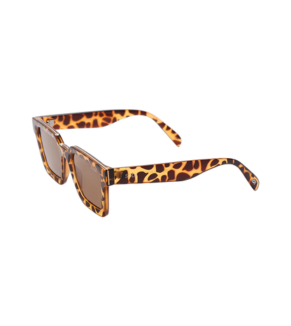 Soda Shades Brooklyn Tort w/Brown Lenses