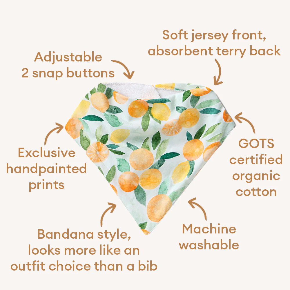 Snuggle Hunny Citrus Squeeze Organic Dribble Bib